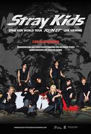 Stray Kids World Tour RUN IT LIVE VIEWING